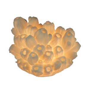 White Faux Tube Coral Decorative Coastal Art Accent Lamp